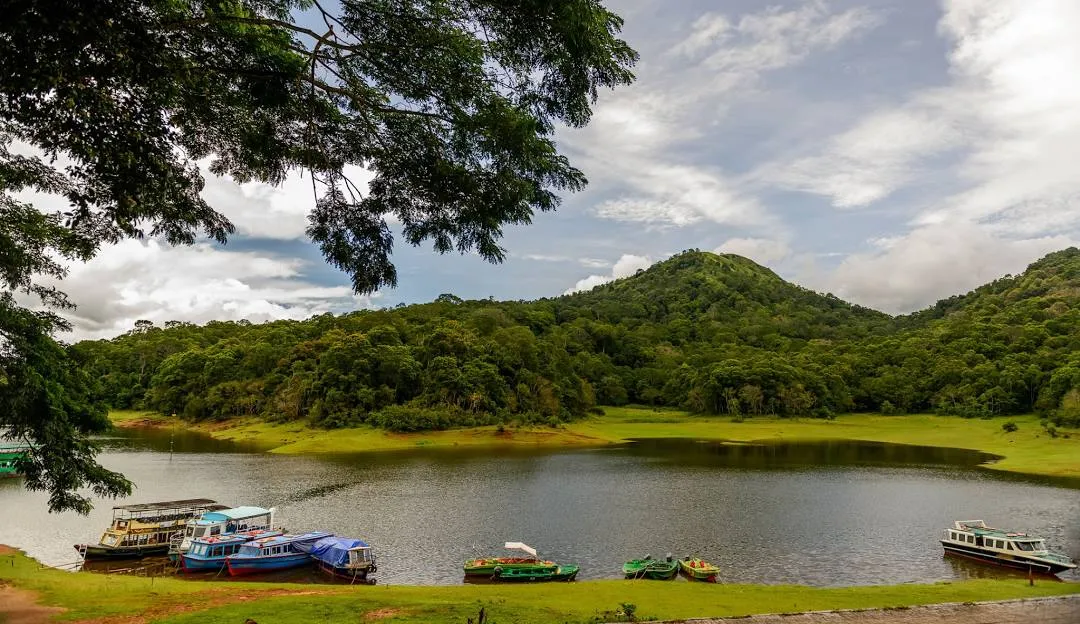 Periyar / Thekkady greenery and lake